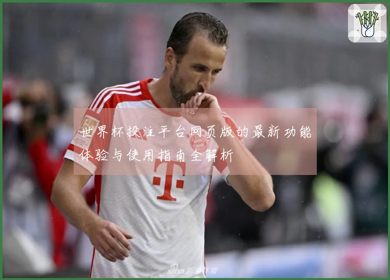 世界杯投注平台网页版的最新功能体验与使用指南全解析
