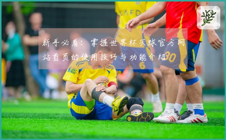 新手必看:掌握世界杯买球官方网站首页的使用技巧与功能介绍