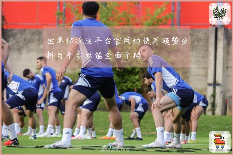世界杯投注平台官网的使用趋势分析与平台功能全面介绍