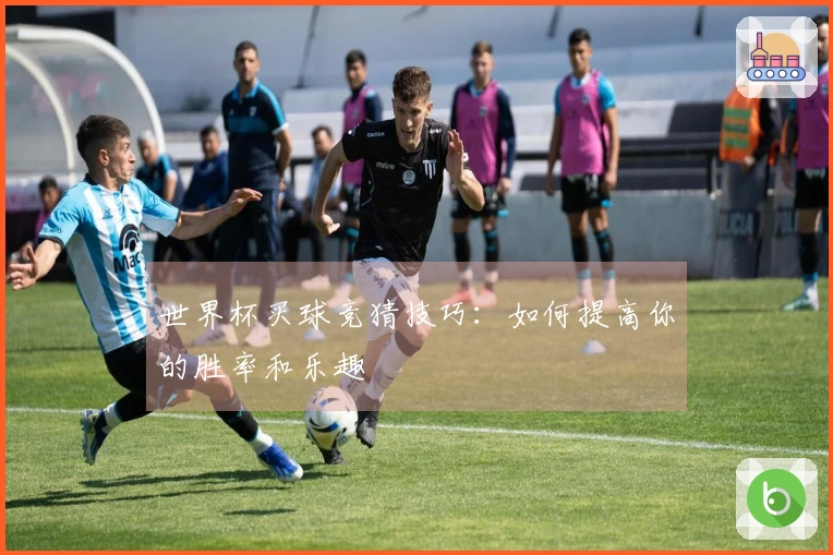 世界杯买球竞猜技巧：如何提高你的胜率和乐趣
