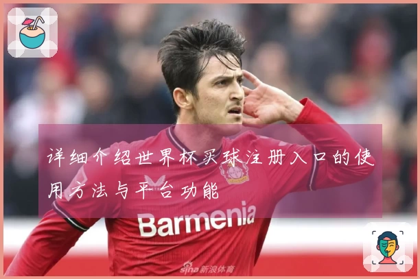 详细介绍世界杯买球注册入口的使用方法与平台功能